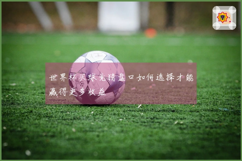 世界杯买球竞猜盘口如何选择才能赢得更多收益