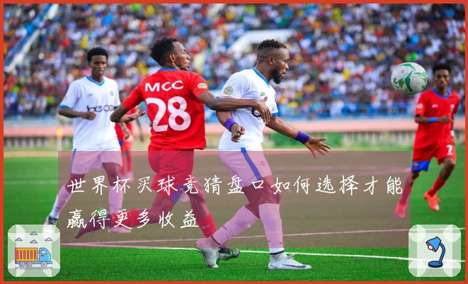 世界杯买球竞猜盘口如何选择才能赢得更多收益