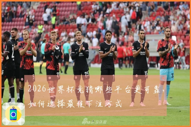 2026世界杯竞猜哪些平台更可靠，如何选择最佳下注方式